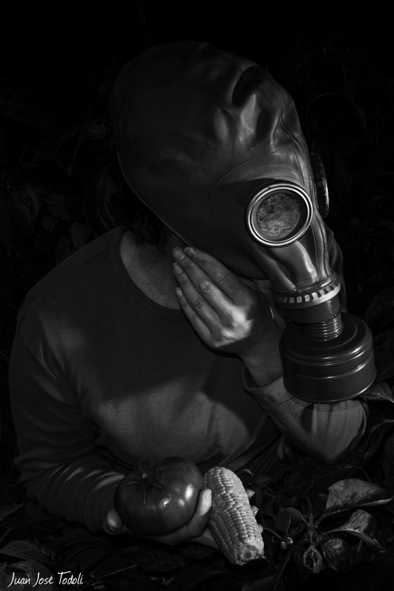 plan transición hacia una nueva normalidad