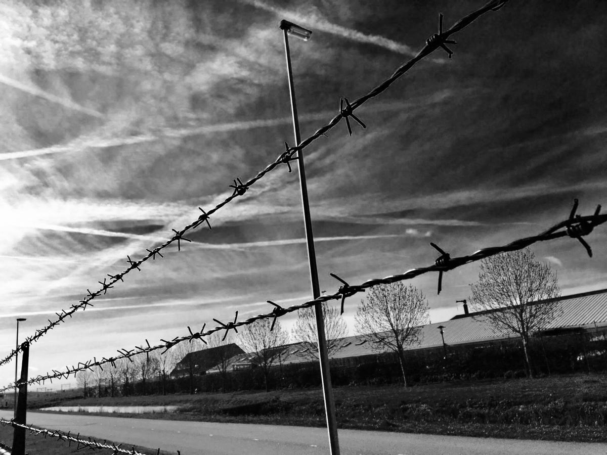Aire: mezcla de gases que constituye la atmósfera
